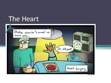 Ppt The Heart Powerpoint Presentation Free Download Id 2088059