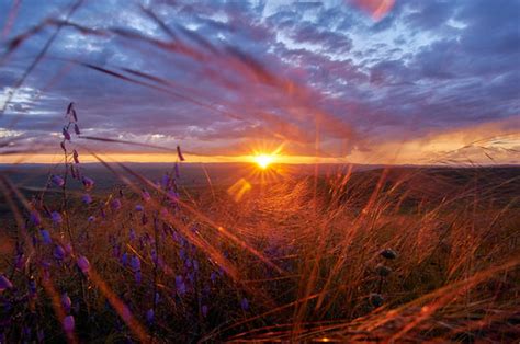 Zabaykalsky Billeder Gennemse Stockfotos Vektorer Og Videoer