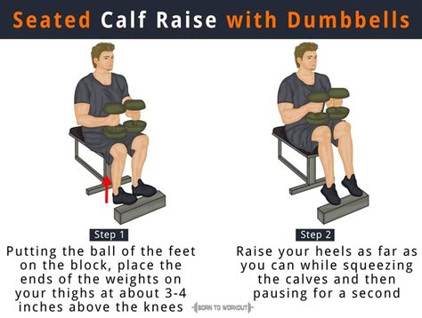 Seated Calf Raise: What is it, How to do, Alternatives