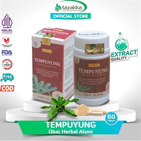 Jual Tazakka Kapsul Daun Tempuyung Kering Asli Original Halal Bpom Isi