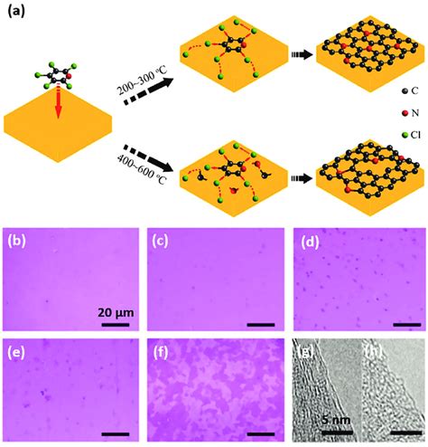 A Growth Schematic Of N Doped Graphene At Different Temperatures A Download Scientific