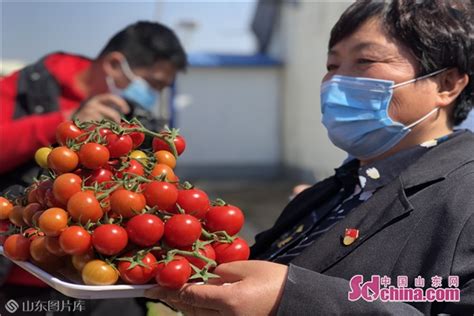 这就是山东淄博高青：选树“五面红旗” 绘就乡村振兴大蓝图凤凰网山东凤凰网