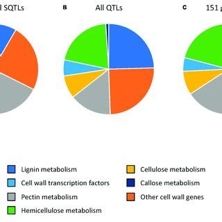 The Proportions Of Cell Wall Genes Participating To Different Cell