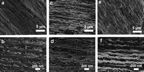 Low And High Magnification Cross Sectional Sem Images Of Ab Initial