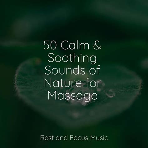 Calm Soothing Sounds Of Nature For Massage Medita O Clube Qobuz