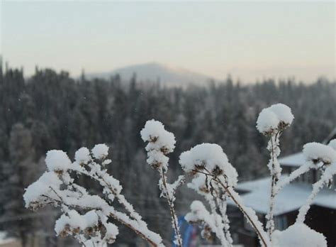 Фото Шерегеша (33 фото)