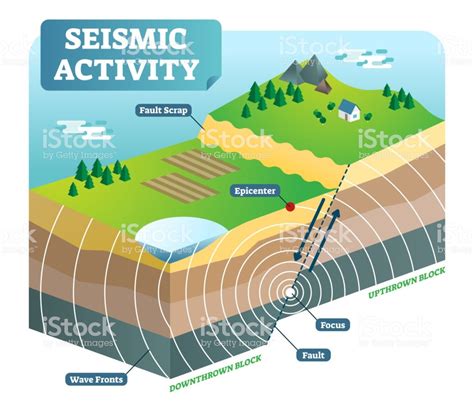 Earthquakes and Seismic Waves Diagram | Quizlet