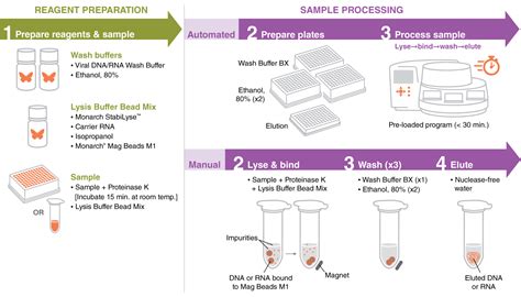 Monarch Mag Viral Dna Rna Extraction Kit New England Biolabs Gmbh