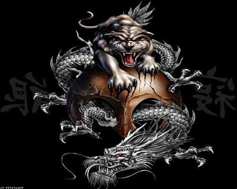 Yin Yang Dragon Tiger Chinese Dragon And Tiger Hd Wallpaper Pxfuel