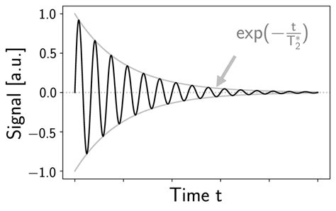 Figure .: Free induction decay signal representation, showing the ...