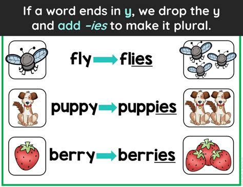 Mastering Plural Noun Rules A Guide For Kids