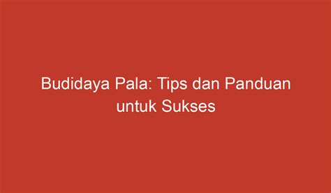 Budidaya Pala: Tips dan Panduan untuk Sukses Menanam Pala