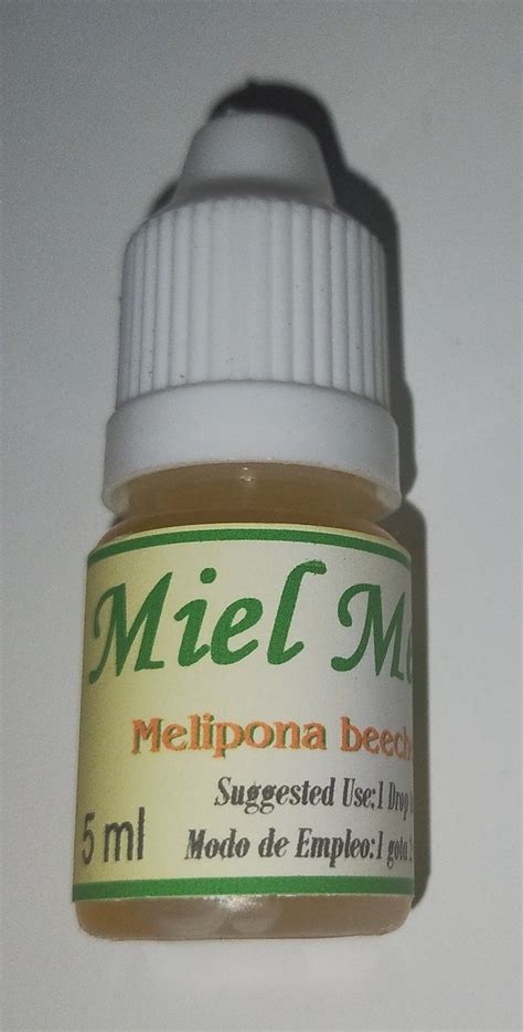 Melipona Miel Natural Gotas Beecheeii Honey Natural Stingless Bees - Etsy