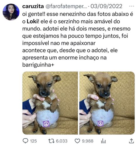 Otsutkis On Twitter Rt Farofatemperada Pra Quem Ainda N O Conhece