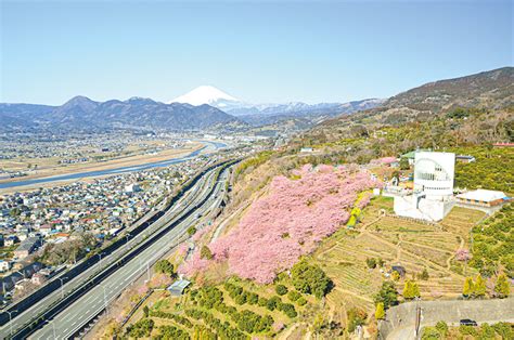 新松田駅｜時刻表詳細（上り）｜小田急電鉄