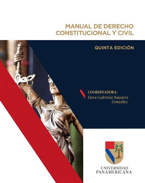 Manual De Derecho Constitucional Y Civil Ebook Navarro González Dora