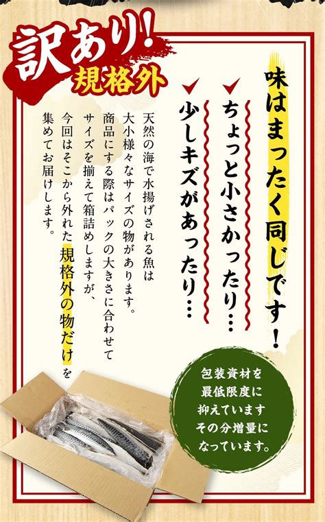 訳あり 規格外 業務用 無添加 塩さば 3kg 鯖 サバ 送料無料 神栖市 魚 国内加工 茨城県 さば 冷凍