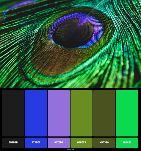 Colors of peacock feathers - Color Palette - colorxs.com