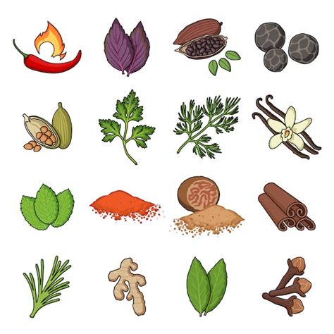 Premium Vector Spice Cartoon Set Icon