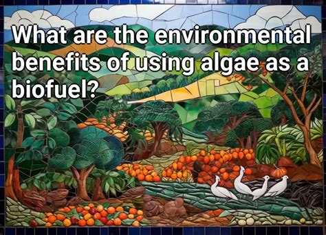 What are the environmental benefits of using algae as a biofuel ...