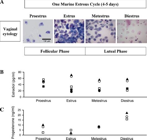 Figure 1 From CALL FOR PAPERS Sex And Gender Differences In