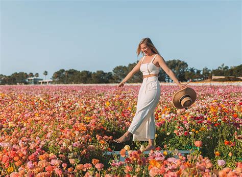 Tips For Visiting The Carlsbad Flower Fields The Blonde Abroad