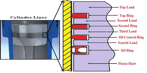 Schematic Diagram For Piston Ring And Cylinder Liner Interface