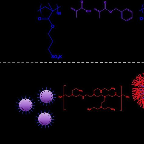 Scheme 1 Synthesis Of Poly Potassium 3 Sulfopropyl Methacrylate