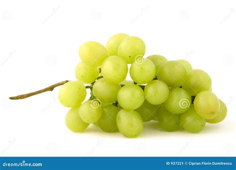 Grape Single Stock Image Image Of Isolation Grapes Table 937221