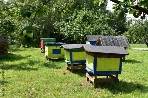 ule pasieka wieś skansen drewna barć pszczelarstwo Stock Photo