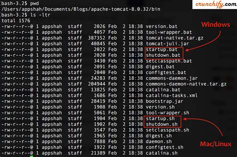 How To Start Stop Apache Tomcat Via Command Line Check If Tomcat Is