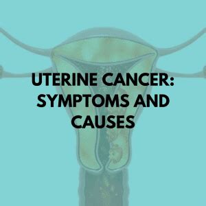 Uterine Cancer: Symptoms and Causes - Niruja HealthTech