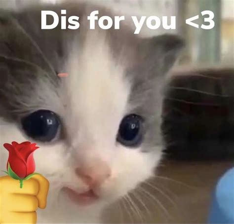 Cute Love Meme