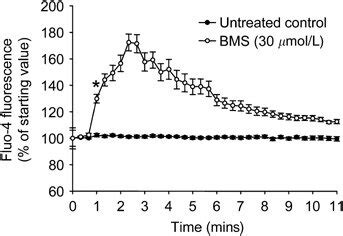 Administration Of BMS 191095 BMS Induces Transient Increase In