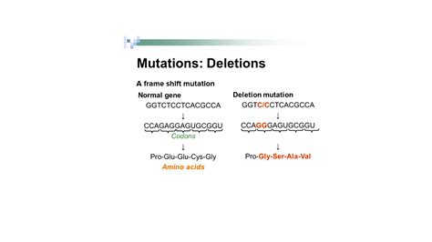 What Is A Deletion Mutation