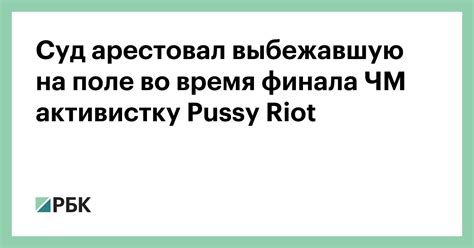 Суд арестовал выбежавшую на поле во время финала ЧМ активистку Pussy