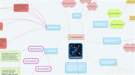 CELULAS NERVIOSAS MindMeister Mapa Mental