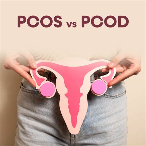 Difference Between Pcos And Pcod Oraah Natural Herbal Tea