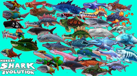 Hungry Shark Evolution All 21 Sharks Unlocked Android Gameplay [fhd] Youtube