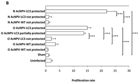 Humoral And Cellular Anti E Histolytica Immune Responses In Acnpv Lc3 Download Scientific