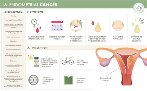 Endometrial cancer – Artofit