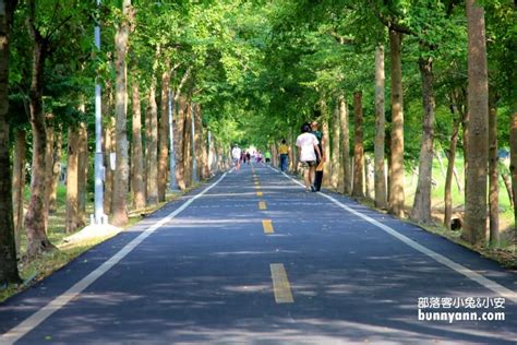 台中景點》潭雅神綠園道，美拍浪漫s彎道and波浪自行車道