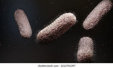 Peritrichous Bacteria Flagellum Bacteria Long Tails Stock Illustration 2212741397 | Shutterstock