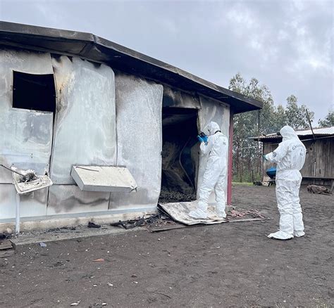 Chanco Adulto Mayor Falleci En Incendio De Vivienda Diario Cauquenes