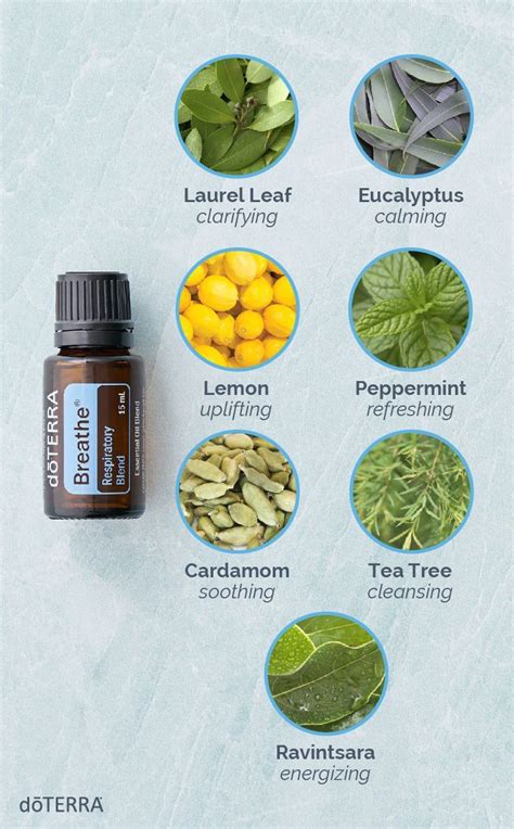 Doterra Breathe Uses And Benefits Doterra Essential Oils Doterra Essential Oils Doterra