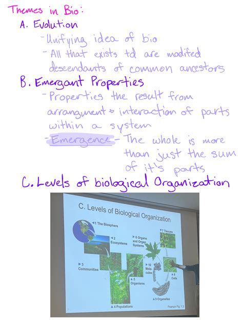 Lecture 2 The Properties Of Science Themes In Bio A Evolution Unifying Idea Of Bio All That