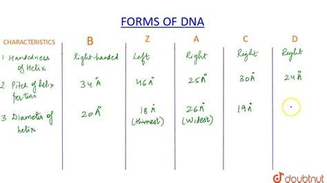 DIFFERENT FORMS OF DNA YouTube