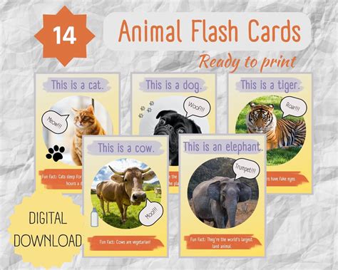 Animal Flashcards for Kids, Animals Digital Download Set of 14, Animal ...