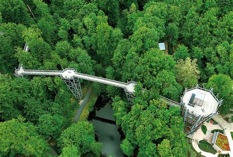 Baumwipfelpfad in Bad Iburg im Osnabrücker Land