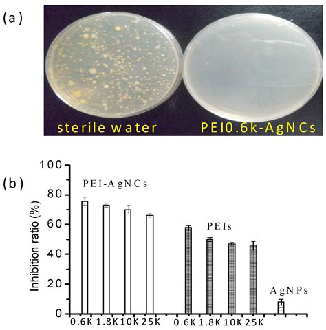 Ijerph Free Full Text Polyethyleneimine Capped Silver Nanoclusters As Efficient